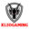 kleogaming.net favicon